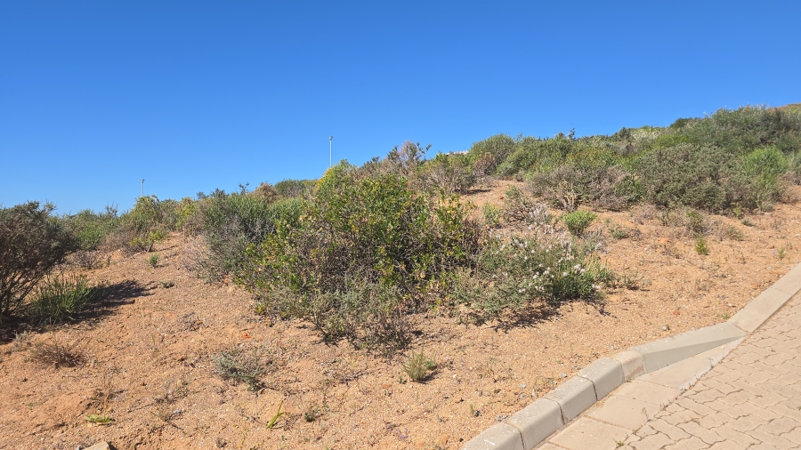 0 Bedroom Property for Sale in St Helena Views Western Cape